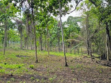 Finca18 Titulada de 20,938M2 FINANCIADA Cuota  Quincenal $500 SIN INTERES.