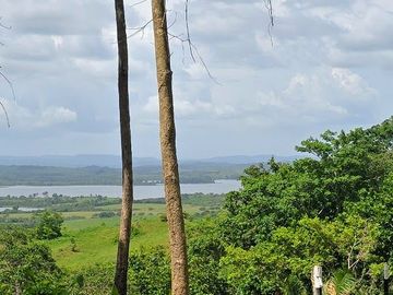 Finca18 Titulada de 20,938M2 FINANCIADA Cuota  Quincenal $500 SIN INTERES.