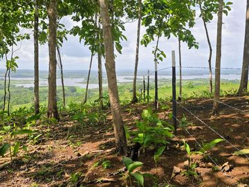 Finca18 Titulada de 20,938M2 FINANCIADA Cuota  Quincenal $500 SIN INTERES.