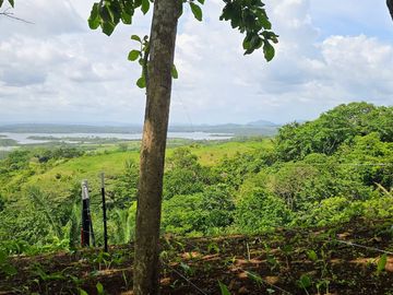 Finca18 Titulada de 20,938M2 FINANCIADA Cuota  Quincenal $500 SIN INTERES.