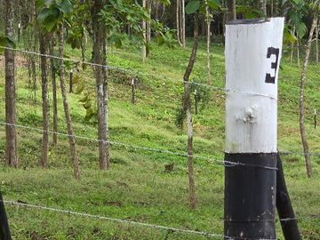 Finca18 Titulada de 20,938M2 FINANCIADA Cuota  Quincenal $500 SIN INTERES.