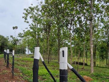 Finca18 Titulada de 20,938M2 FINANCIADA Cuota  Quincenal $500 SIN INTERES.
