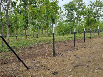 Finca18 Titulada de 20,938M2 FINANCIADA Cuota  Quincenal $500 SIN INTERES.