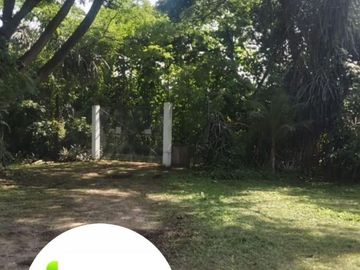 Venta 35.73 Has. Chongon -Daular Pasando Urbanización La Costa Club. Via principal que conduce a Daular, con un bosque  de más de 1.000 unidades de árboles maderables; tiene cultivos de mango, cacao. y sembrios de ciclo corto. con empacadora, bodega, vivienda guardian etc, PRECIO: $. 3’573.000