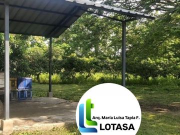 Venta 35.73 Has. Chongon -Daular Pasando Urbanización La Costa Club. Via principal que conduce a Daular, con un bosque  de más de 1.000 unidades de árboles maderables; tiene cultivos de mango, cacao. y sembrios de ciclo corto. con empacadora, bodega, vivienda guardian etc, PRECIO: $. 3’573.000