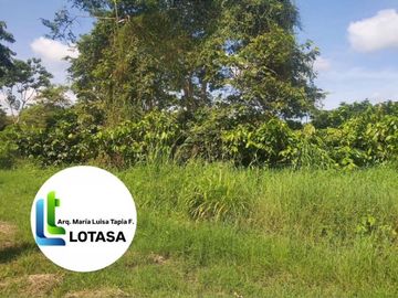 Venta 35.73 Has. Chongon -Daular Pasando Urbanización La Costa Club. Via principal que conduce a Daular, con un bosque  de más de 1.000 unidades de árboles maderables; tiene cultivos de mango, cacao. y sembrios de ciclo corto. con empacadora, bodega, vivienda guardian etc, PRECIO: $. 3’573.000