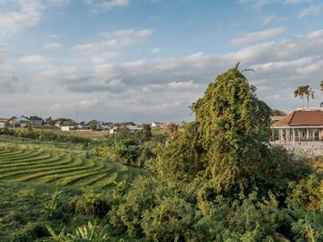 Luxury 4-Bedroom Villa for Yearly Rental in Berawa