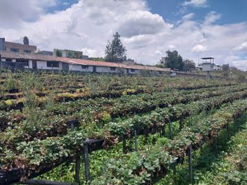 TERRENO EN VENTA ASCÁZUBI – CAYAMBE 2.880 M2