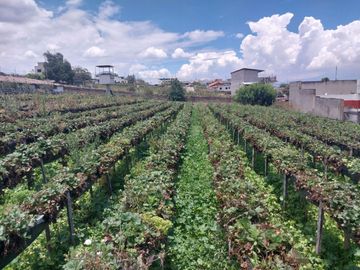 TERRENO EN VENTA ASCÁZUBI – CAYAMBE 2.880 M2