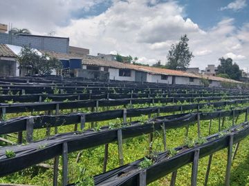 TERRENO EN VENTA ASCÁZUBI – CAYAMBE 2.880 M2