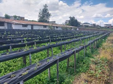 TERRENO EN VENTA ASCÁZUBI – CAYAMBE 2.880 M2