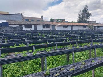 TERRENO EN VENTA ASCÁZUBI – CAYAMBE 2.880 M2