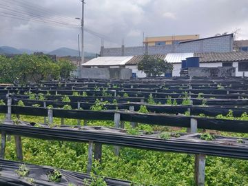 TERRENO EN VENTA ASCÁZUBI – CAYAMBE 2.880 M2