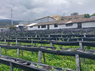 TERRENO EN VENTA ASCÁZUBI – CAYAMBE 2.880 M2