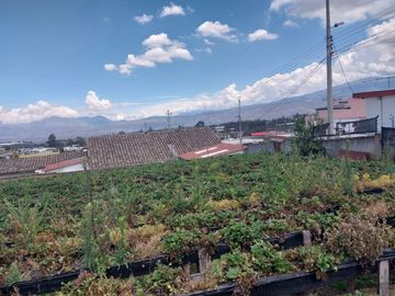 TERRENO EN VENTA ASCÁZUBI – CAYAMBE 2.880 M2