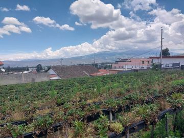 TERRENO EN VENTA ASCÁZUBI – CAYAMBE 2.880 M2