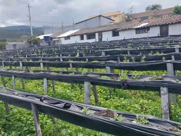 TERRENO EN VENTA ASCÁZUBI – CAYAMBE 2.880 M2