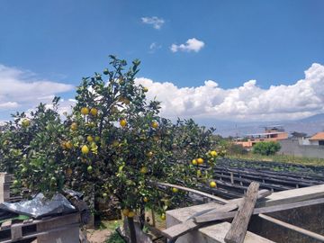 TERRENO EN VENTA ASCÁZUBI – CAYAMBE 2.880 M2
