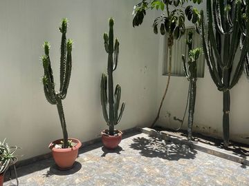 Se Vende Departamento En 1Er Piso En Vallecito