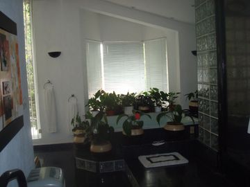 Excelente casa, gran jadín, seguriidad, amplios espacios