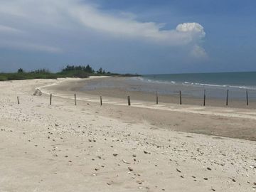 For Sale Land 108-1-56 Rai, Phetchaburi