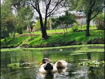 SE VENDE TERRENO PLANO DENTRO DE URBANIZACIÓN SECTOR SELVA ALEGRE - SANGOLQUÍ
