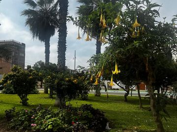 ¡Oportunidad Única! Proyecto Para Departamento De Estreno Con Vistas Al Parque!