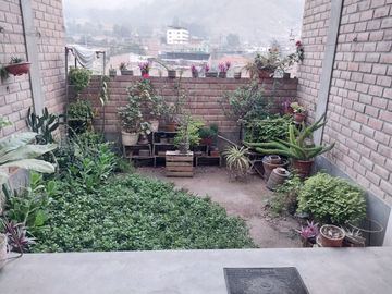 ALQUILER DE CASA / DEPARTAMENTO Y LOCAL EN CHOSICA