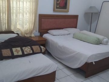 Dijual Villa Mewah Sejuk Luas Cipanas Puncak Kota Bunga Cianjur Indo Alam Fully Furnished Siap Huni Cocok Untuk Investasi