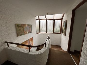 Alquilo casa en esquina, vivienda u oficina, San Borja
