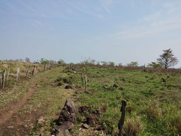 Venta de Rancho Ganadero en Alto Lunero, Veracruz, Ver.