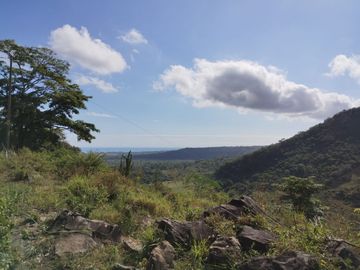 Venta de Rancho Ganadero en Alto Lunero, Veracruz, Ver.