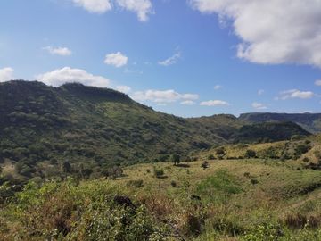 Venta de Rancho Ganadero en Alto Lunero, Veracruz, Ver.