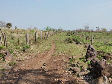 Venta de Rancho Ganadero en Alto Lunero, Veracruz, Ver.
