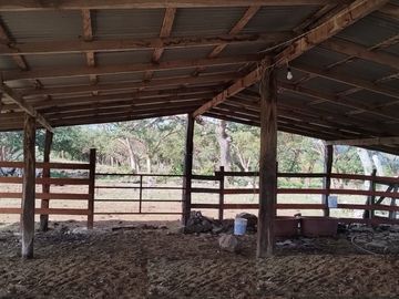 Venta de Rancho Ganadero en Alto Lunero, Veracruz, Ver.