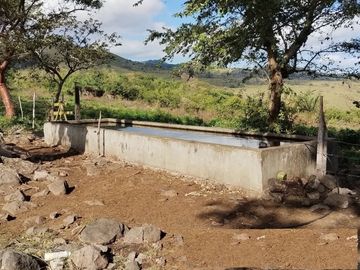 Venta de Rancho Ganadero en Alto Lunero, Veracruz, Ver.