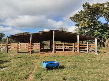Venta de Rancho Ganadero en Alto Lunero, Veracruz, Ver.