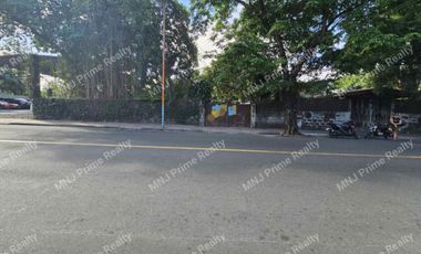 Lot for Sale at Parang Marikina (along main road)