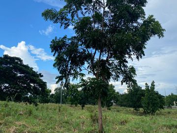 Manila Southwoods| Residential Lot For Sale - #7528