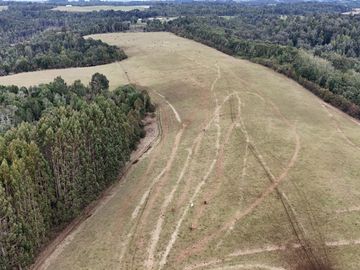 FUNDO DE 234,5 HA UBICADO COMUNA DE MUERMOS.
