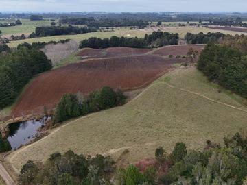 FUNDO DE 234,5 HA UBICADO COMUNA DE MUERMOS.