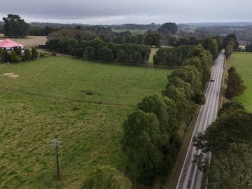FUNDO DE 234,5 HA UBICADO COMUNA DE MUERMOS.