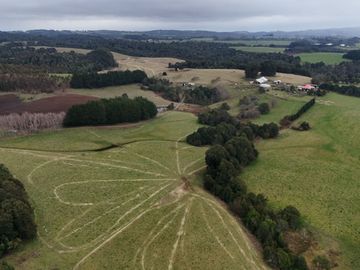 FUNDO DE 234,5 HA UBICADO COMUNA DE MUERMOS.