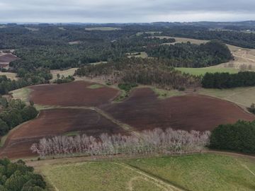 FUNDO DE 234,5 HA UBICADO COMUNA DE MUERMOS.