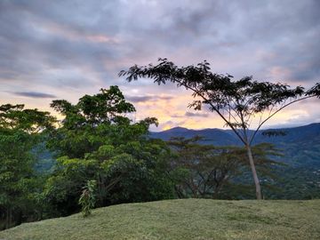 Vendo Hermosa Finca a 5 minutos de Villeta Cundinamarca posibilidadd de proyecto hotelerao.