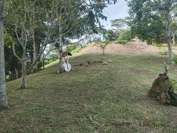 Vendo Hermosa Finca a 5 minutos de Villeta Cundinamarca posibilidadd de proyecto hotelerao.