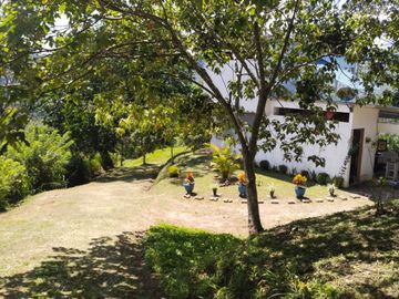Vendo Hermosa Finca a 5 minutos de Villeta Cundinamarca posibilidadd de proyecto hotelerao.