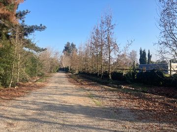 Venta Parcela 5000m2 Colonia Alemana Peñaflor