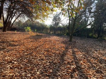 Venta Parcela 5000m2 Colonia Alemana Peñaflor