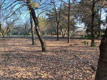 Venta Parcela 5000m2 Colonia Alemana Peñaflor